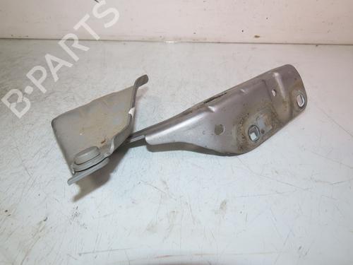 Used Hinge/Door check strap RENAULT TWINGO II (CN0_) 1.5 dCi (CN0E) (64 hp) 24706409