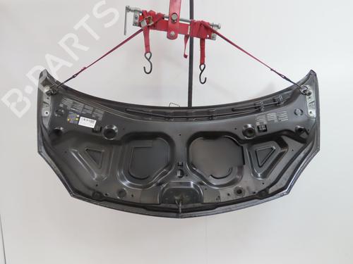 Panser RENAULT TWINGO II (CN0_) 1.2 16V (CN04, CN0B) (75 hp) 30629878