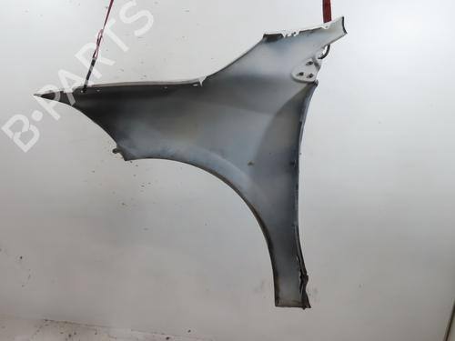 Right front fenders RENAULT MEGANE III Coupe (DZ0/1_) 1.9 dCi (DZ0N, DZ0J, DZ1J, DZ1K) | BP20162783C42 