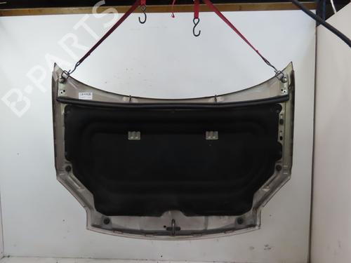 Hood CITROËN BERLINGO / BERLINGO FIRST MPV (MF_, GJK_, GFK_) 1.9 D (MFWJZ) | BP25207374C1 
