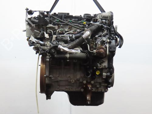 Motor FORD FIESTA VI (CB1, CCN) 1.4 TDCi | BP29963680M1