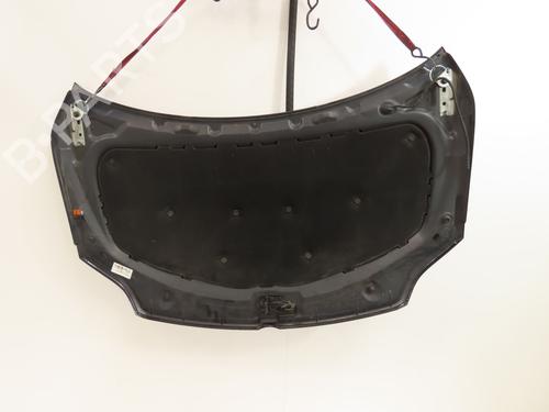 Used Hood VW GOLF PLUS V (5M1, 521) 1.6 TDI (105 hp) 30629879