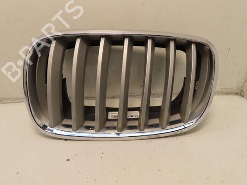 Grill BMW X6 (E71, E72) xDrive 35 d | BP30501811C40