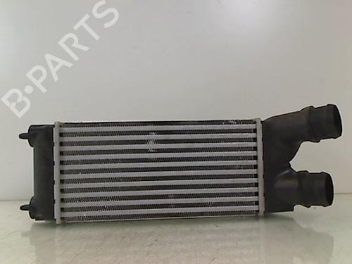 Used Intercooler Intercooler CITROËN AX (ZA-_) 15 D (58 hp) 36483564 36483564