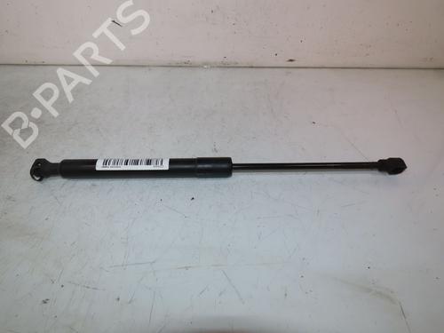 Hood lift support RENAULT KANGOO / GRAND KANGOO II (KW0/1_) 1.5 dCi 90 (KW05, KW08, KW0G, KW11) | BP24920234C139 