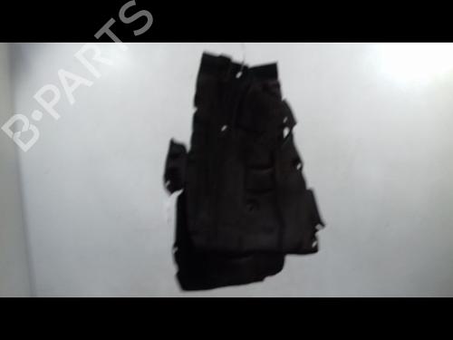 Used Wheel arch RENAULT SCÉNIC III (JZ0/1_) 1.5 dCi (106 hp) 14892905