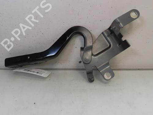 Hinge/Door check strap RENAULT CLIO IV (BH_) 1.5 dCi 90 | BP24185391C146 