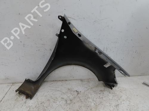 Left front fenders RENAULT CLIO III (BR0/1, CR0/1) 1.5 dCi (BR17, CR17) | BP28593965C41 