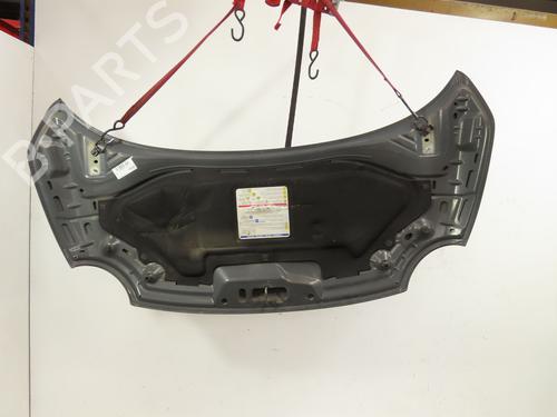 Used Hood FIAT 500 (312_) 1.2 (312AXA1A) (69 hp) 28067939