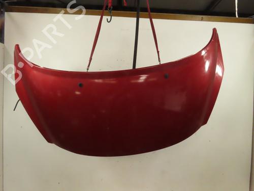 Used Hood Hood PEUGEOT 207 (WA_, WC_) 1.6 HDi (90 hp) 30979673 30979673