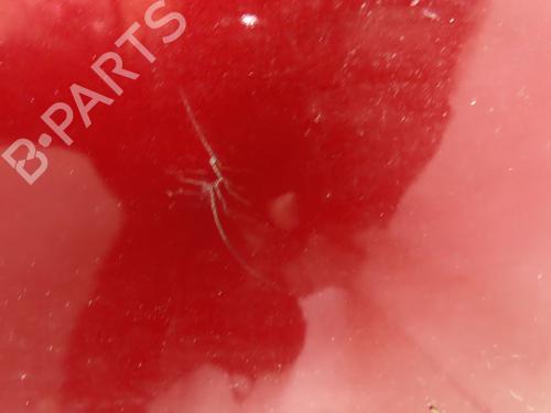 Rear bumper NISSAN NOTE (E12) 1.5 dCi | BP25830343C8