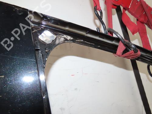 Used Right front door RENAULT CLIO IV (BH_) 1.5 dCi 90 (90 hp) 29818827