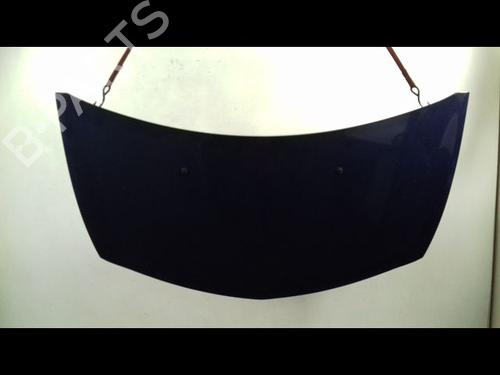 Capot RENAULT CLIO III (BR0/1, CR0/1) 1.5 dCi (BR17, CR17) (86 hp) 23151833