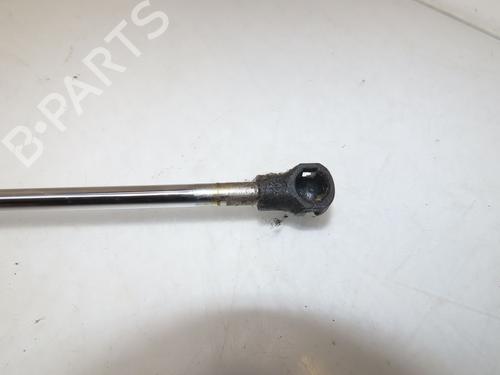 Tailgate lift support RENAULT CLIO III (BR0/1, CR0/1) 1.4 16V | BP26534811C138 