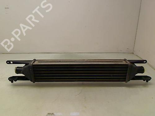 Used Other FIAT PUNTO EVO (199_) 1.3 D Multijet (199AXC1A, 199BXC1A, 199AXT1A, 199BXT1A) (75 hp) 14888843