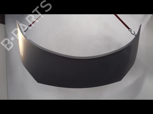 Used Hood RENAULT SCÉNIC II (JM0/1_) 1.6 16V (JM1R) (112 hp) 8988060