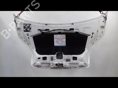 Used Hood PEUGEOT BIPPER (AA_) 1.3 HDi 75 (75 hp) 10075917