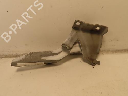 Hinge/Door check strap NISSAN QASHQAI / QASHQAI +2 I (J10, NJ10, JJ10E) 1.6 dCi | BP28309796C146 