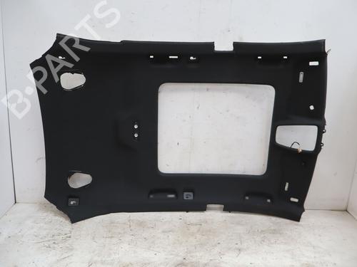 Interior roof AUDI Q8 (4MN, 4MT) 50 TDI Mild Hybrid quattro | BP33769966I12  - Image 5