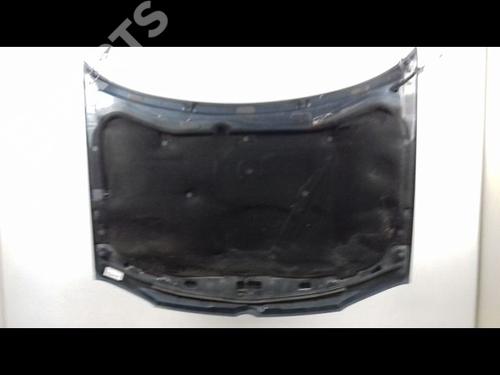 Hood VW GOLF IV (1J1) 1.9 TDI | BP9001185C1 