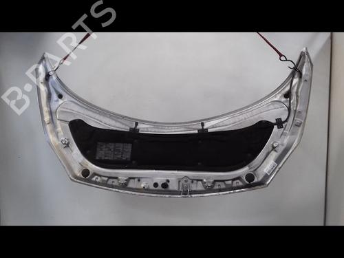 Used Hood Hood RENAULT SCÉNIC II (JM0/1_) 2.0 dCi (JM1K) (150 hp) 8999142 8999142