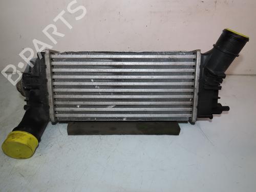 Used Other FORD PUMA (J2K, CF7) 1.0 EcoBoost mHEV (125 hp) 25622804