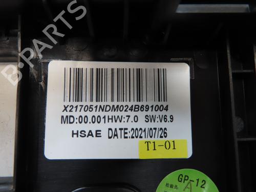 Display monitor PEUGEOT 208 II (UB_, UP_, UW_, UJ_) 1.5 BlueHDI 100 | BP30952162C48