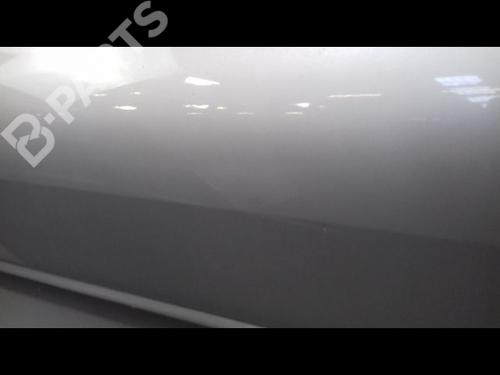 Right front door RENAULT MEGANE II (BM0/1_, CM0/1_) 1.9 dCi | BP8992776C3 