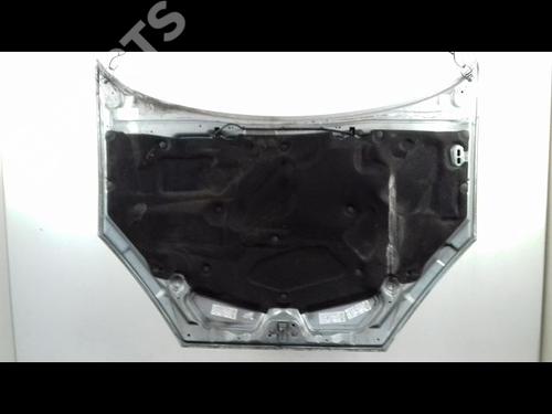 Hood FORD FOCUS I (DAW, DBW) 2.0 16V | BP9002237C1 