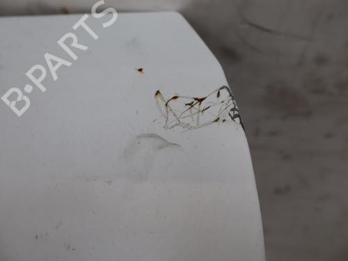 Used Left tailgate Left tailgate RENAULT KANGOO Express (FW0/1_) 1.5 dCi 90 (FW0G, FW05, FW08, FW11) (90 hp) 33744476 33744476