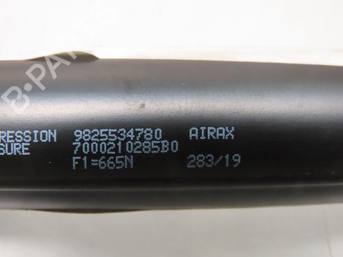 Tailgate lift support PEUGEOT 2008 II (UD_, US_, UY_, UJ_, UR_, UC_) 1.5 BlueHDI 130 | BP26876686C138