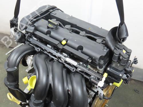 Engine FORD FOCUS II (DA_, HCP, DP) 1.6 | BP21691625M1 