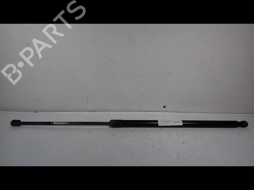 Used Tailgate lift support VW CADDY III MPV (2KB, 2KJ, 2CB, 2CJ) 1.9 TDI (105 hp) 14893587