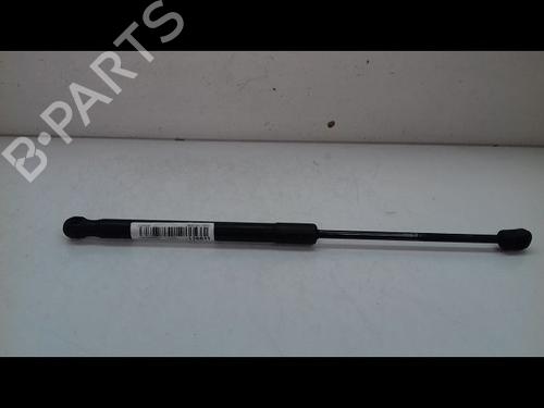 Used Hood lift support BMW X6 (E71, E72) xDrive 35 d (286 hp) 14893014
