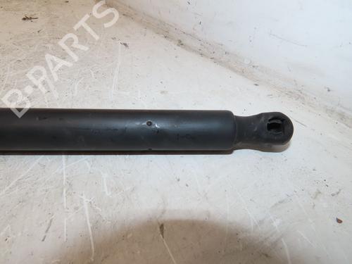 Tailgate lift support FORD GRAND C-MAX (DXA/CB7, DXA/CEU) 1.6 TDCi | BP28120906C138