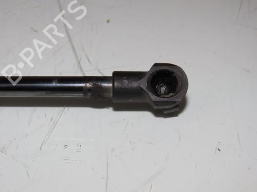 Tailgate lift support NISSAN QASHQAI II (J11, J11_) 1.2 DIG-T | BP25015201C138