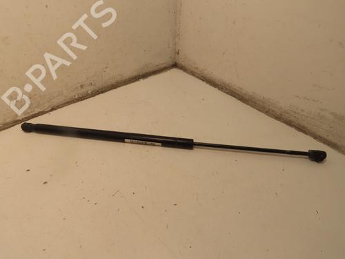 Used Tailgate lift support FIAT FIORINO MPV (225_) 1.3 JTD Multijet (95 hp) 30139623