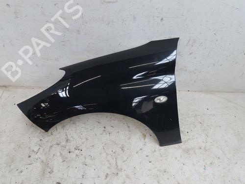 Left front fenders PEUGEOT 206+ (2L_, 2M_) 1.1 | BP29294569C41 