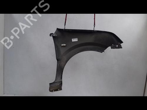 Left front fenders FORD FUSION (JU_) 1.4 TDCi | BP14956719C41 