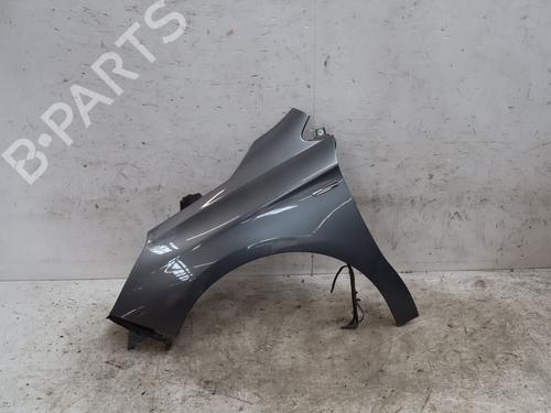 left-front-fenders-citroen-c4-ii-nc_-2009-36366972 main image