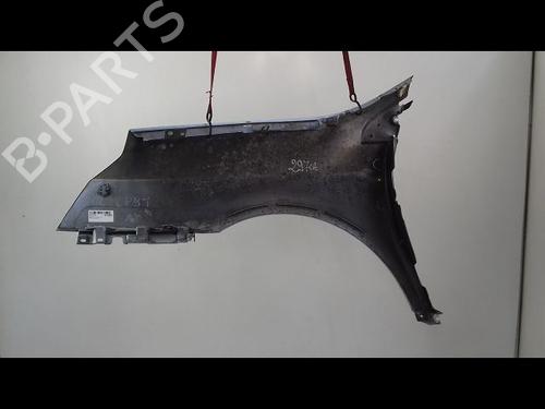 Forskærm Højre RENAULT VEL SATIS (BJ0_) 2.0 dCi (BJ03, BJ0B) (173 hp) 8981879