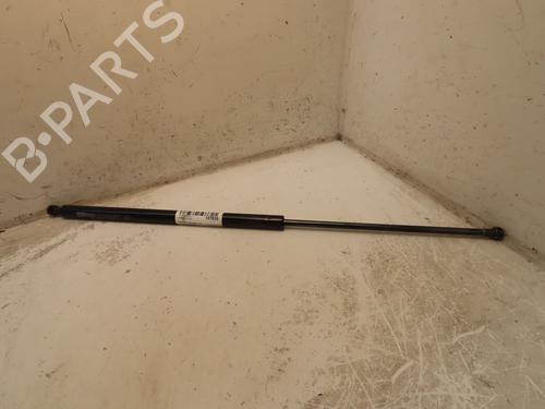 Used Tailgate lift support RENAULT KANGOO (KC0/1_) 1.5 dCi (84 hp) 30954116