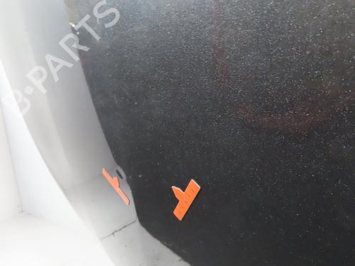 Motorhjelm TOYOTA RAV 4 III (_A3_) 2.2 D 4WD (ALA30_, ALA30R) (150 hp) 16521119