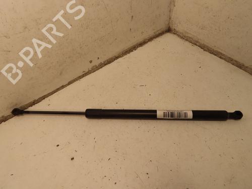 Heckklappendämpfer für RENAULT MODUS / GRAND MODUS (F/JP0_) 1.5 dCi (FP0E, JP0E) (65 hp) 31276848