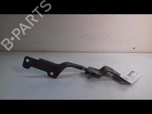 Used Hinge/Door check strap RENAULT CLIO III (BR0/1, CR0/1) 1.2 16V (BR02, BR0J, BR11, CR02, CR0J, CR11) (75 hp) 14892960