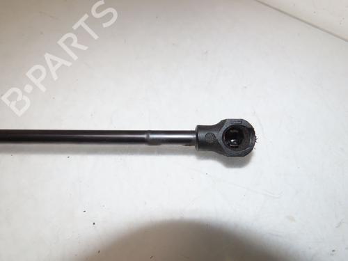 Tailgate lift support PEUGEOT 2008 II (UD_, US_, UY_, UJ_, UR_, UC_) 1.5 BlueHDI 130 | BP26876686C138