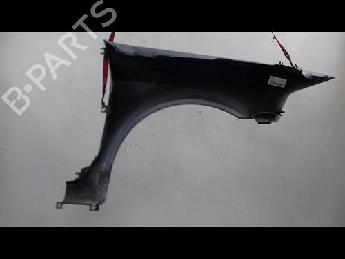 Left front fenders RENAULT LAGUNA II (BG0/1_) 1.9 dCi (BG08, BG0G) | BP23151779C41 