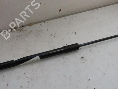 Used Tailgate lift support RENAULT CLIO V (B7_) 1.5 Blue dCi 85 (B7AG) (86 hp) 22920485