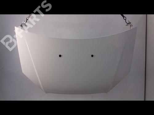 Used Hood FIAT DOBLO Box Body/MPV (223_) 1.3 D Multijet (75 hp) 8989323