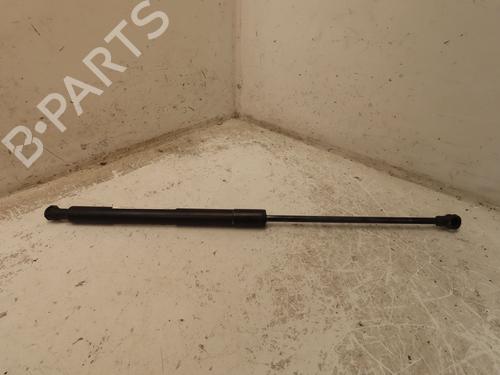 tailgate-lift-support-citroen-c3-ii-sc_-2009-28207239 main image